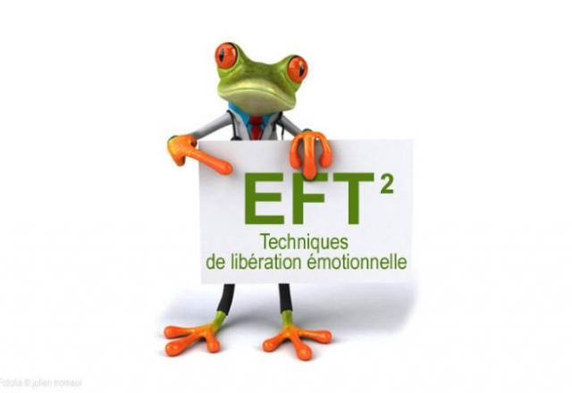 formation Maître Praticien EFT du lundi 22  au vendredi 26 avril 2024 à Granville 